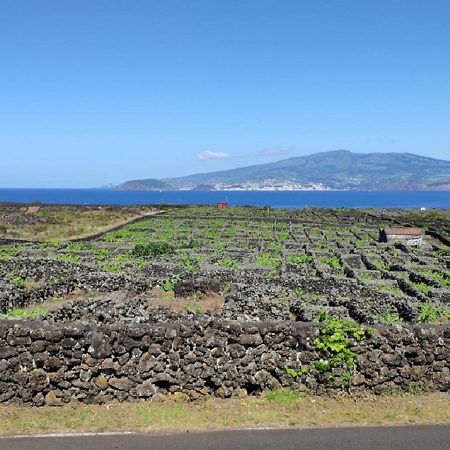 Casa Da Ilha Villa Madalena  Exterior foto